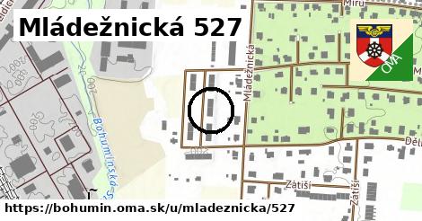 Mládežnická 527, Bohumín