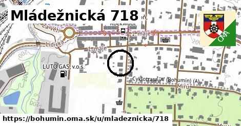 Mládežnická 718, Bohumín