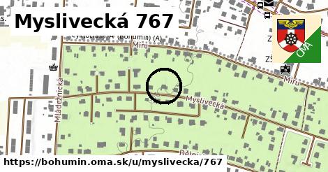 Myslivecká 767, Bohumín