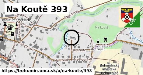 Na Koutě 393, Bohumín