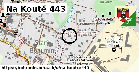 Na Koutě 443, Bohumín