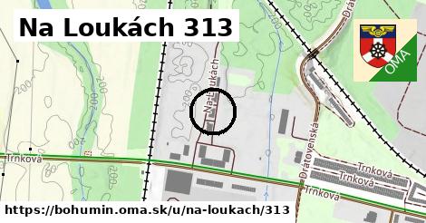 Na Loukách 313, Bohumín