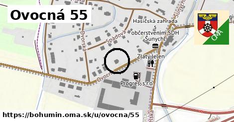 Ovocná 55, Bohumín
