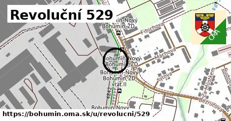 Revoluční 529, Bohumín