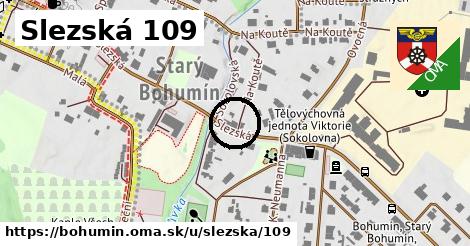 Slezská 109, Bohumín