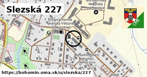 Slezská 227, Bohumín