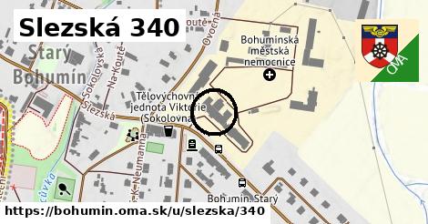 Slezská 340, Bohumín