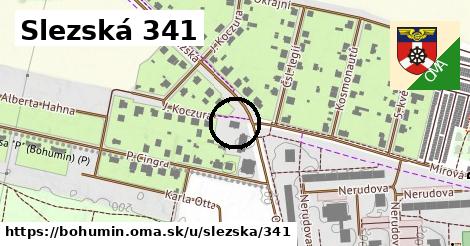 Slezská 341, Bohumín