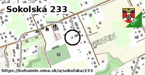 Sokolská 233, Bohumín