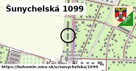 Šunychelská 1099, Bohumín