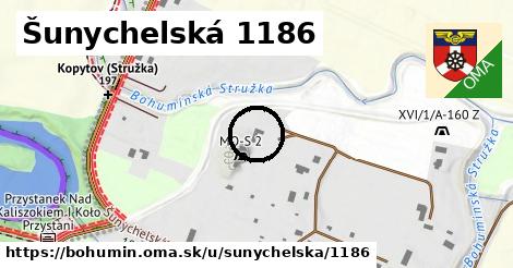 Šunychelská 1186, Bohumín