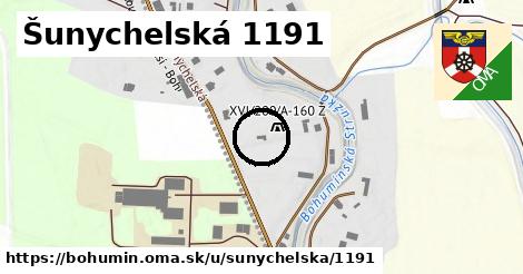 Šunychelská 1191, Bohumín