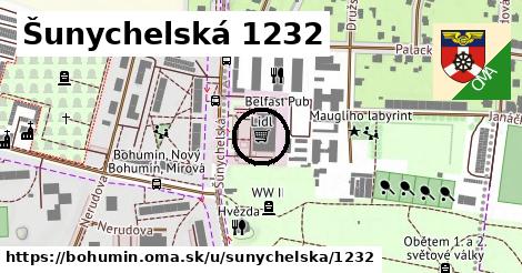 Šunychelská 1232, Bohumín