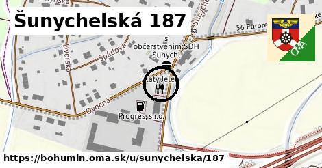 Šunychelská 187, Bohumín