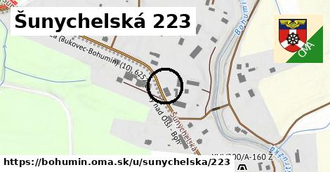 Šunychelská 223, Bohumín