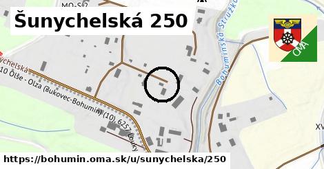 Šunychelská 250, Bohumín