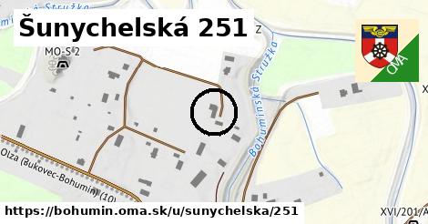 Šunychelská 251, Bohumín