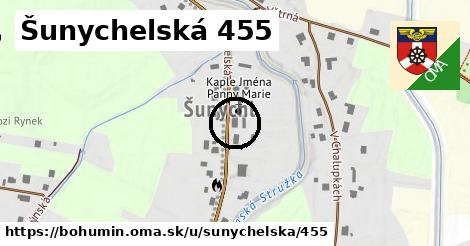 Šunychelská 455, Bohumín