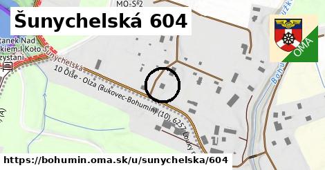 Šunychelská 604, Bohumín