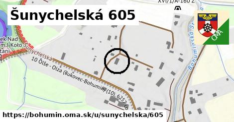 Šunychelská 605, Bohumín