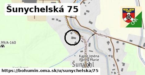 Šunychelská 75, Bohumín