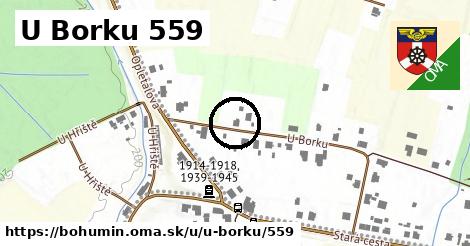 U Borku 559, Bohumín