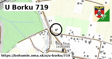 U Borku 719, Bohumín