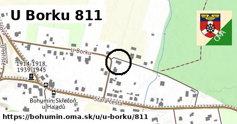 U Borku 811, Bohumín