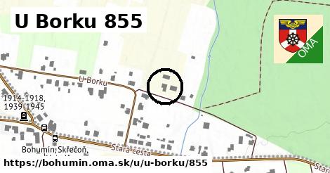 U Borku 855, Bohumín
