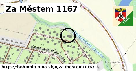 Za Městem 1167, Bohumín