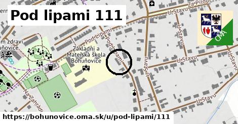 Pod lipami 111, Bohuňovice