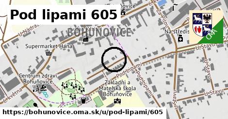 Pod lipami 605, Bohuňovice