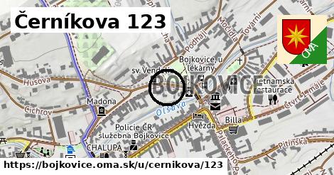 Černíkova 123, Bojkovice