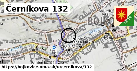 Černíkova 132, Bojkovice