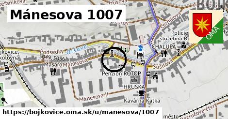 Mánesova 1007, Bojkovice