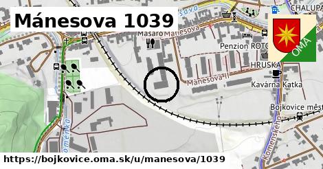 Mánesova 1039, Bojkovice