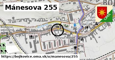 Mánesova 255, Bojkovice