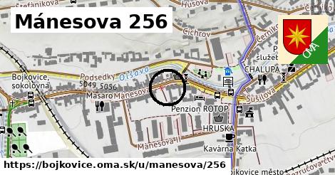 Mánesova 256, Bojkovice