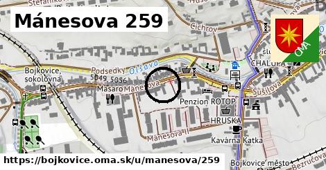 Mánesova 259, Bojkovice