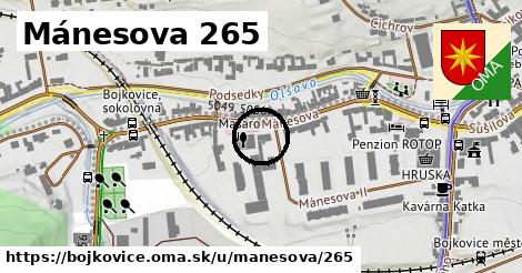 Mánesova 265, Bojkovice
