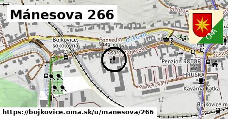 Mánesova 266, Bojkovice