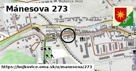 Mánesova 273, Bojkovice