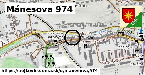 Mánesova 974, Bojkovice