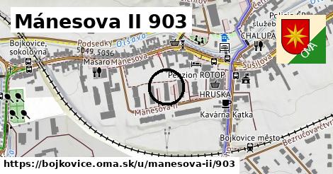 Mánesova II 903, Bojkovice