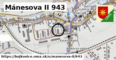 Mánesova II 943, Bojkovice