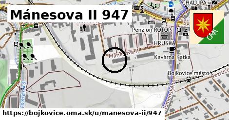 Mánesova II 947, Bojkovice