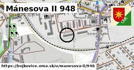 Mánesova II 948, Bojkovice