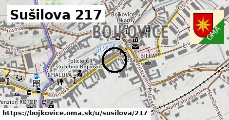 Sušilova 217, Bojkovice
