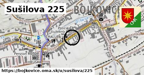 Sušilova 225, Bojkovice