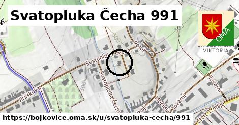 Svatopluka Čecha 991, Bojkovice